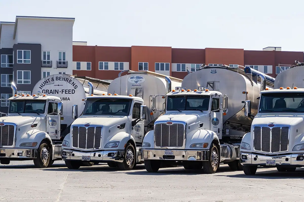 A row of white tractor units with tank trailers parked in a fleet yard.
